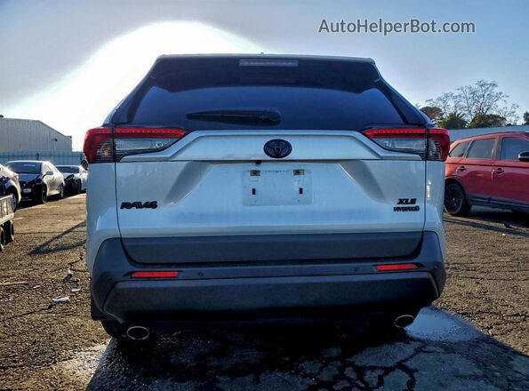 JTMB6RFV6RJ056840 2024 TOYOTA RAV4 White 