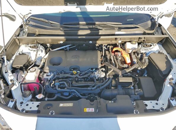 JTMB6RFV6RJ056840 2024 TOYOTA RAV4 White 
