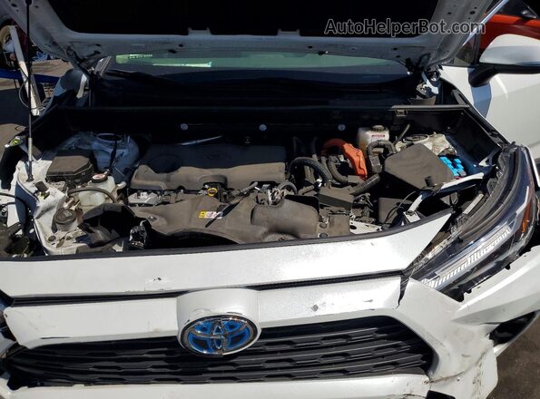 JTMB6RFVXRD145602 2024 TOYOTA RAV4 White 
