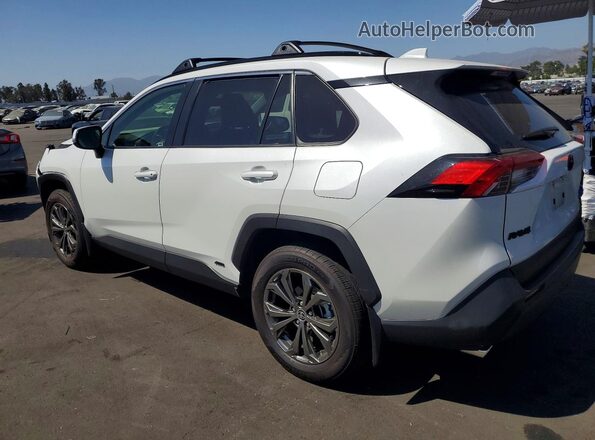 JTMB6RFVXRD145602 2024 TOYOTA RAV4 White 