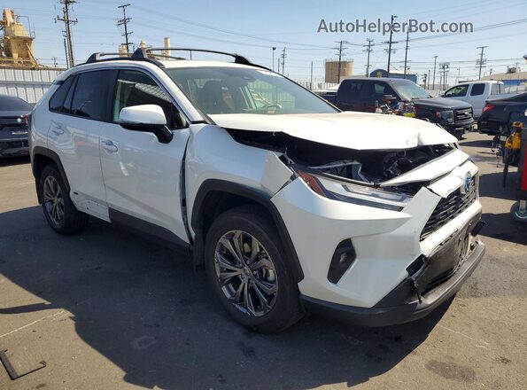 JTMB6RFVXRD145602 2024 TOYOTA RAV4 White 
