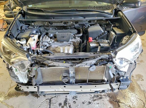 JTMBFREV5HJ700232 2017 TOYOTA RAV4 Gray 