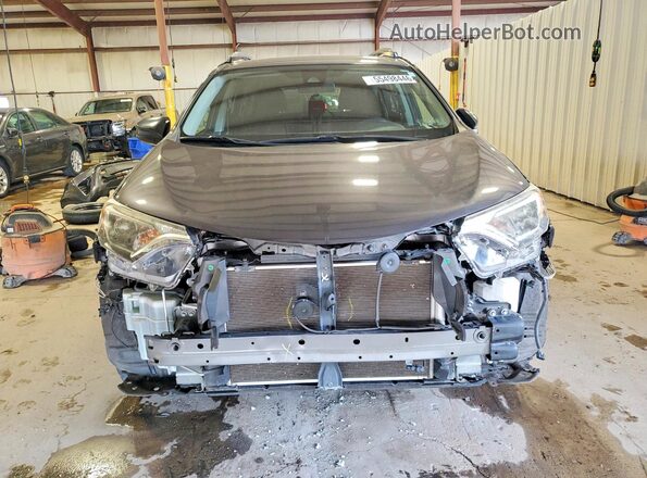 JTMBFREV5HJ700232 2017 TOYOTA RAV4 Gray 