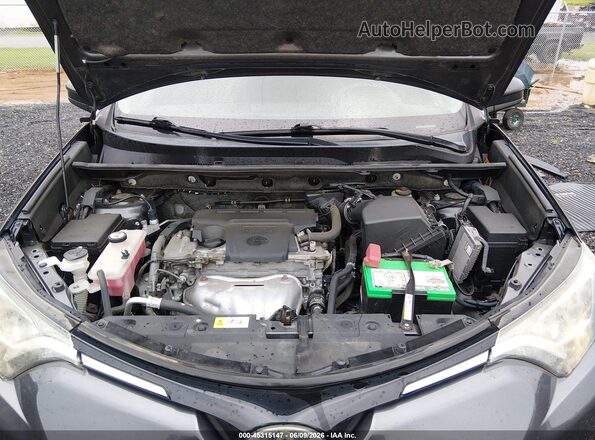 JTMBFREV6HJ131388 2017 TOYOTA RAV4 Gray Widok z tyłu