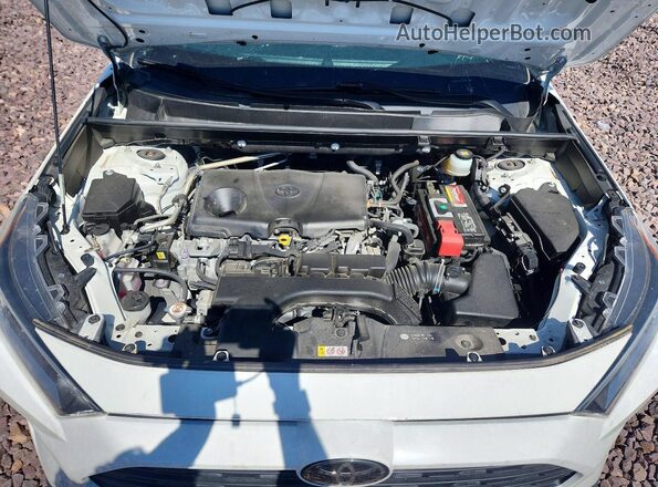 JTMC1RFV1KD019945 2019 TOYOTA RAV4 Белый Вид задней части салона