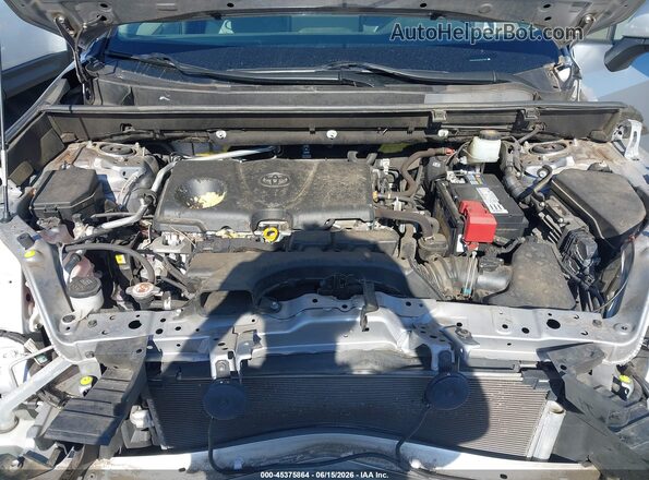 JTMC1RFV2KD027035 2019 TOYOTA RAV4 Silver 