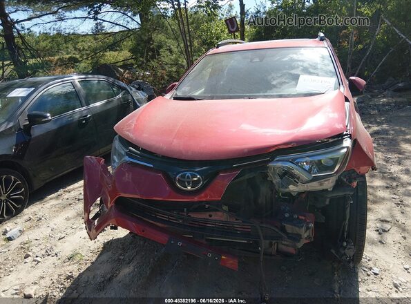 JTMDFREV1HJ147393 2017 TOYOTA RAV4 Red Vista interior trasera