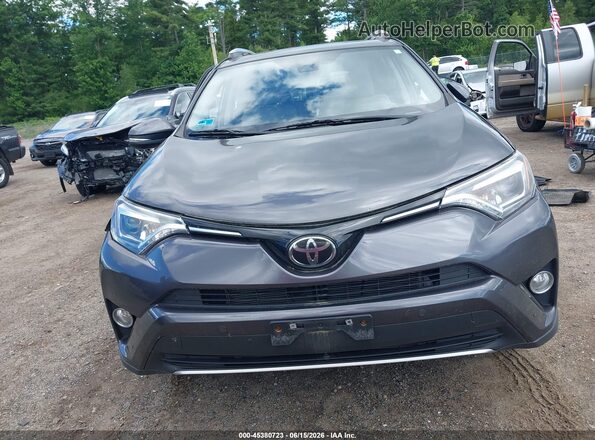 JTMDFREV5GJ056920 2016 TOYOTA RAV4 Gray Սալոնի հետևի տեսք