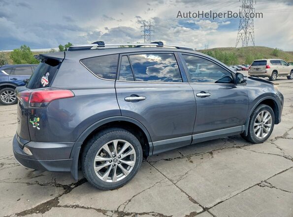 JTMDFREV8GD190335 2016 TOYOTA RAV4 Gray Հետևի աջ