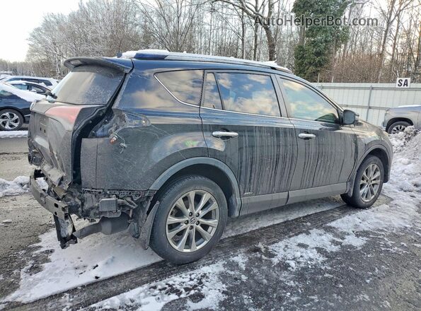 JTMDJREV2GD021457 2016 TOYOTA RAV4 Black Tył prawy
