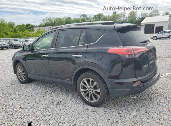 JTMDJREV2HD088366 2017 TOYOTA RAV4 Black 