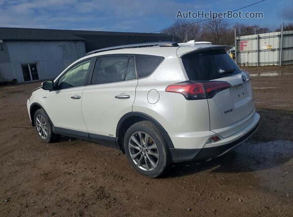 JTMDJREV3HD141902 2017 TOYOTA RAV4 White Tył lewy