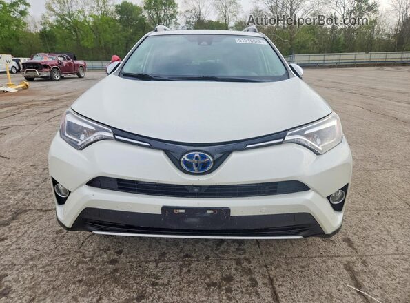JTMDJREV4GD004479 2016 TOYOTA RAV4 White Front view