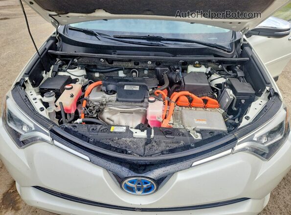 JTMDJREV4GD004479 2016 TOYOTA RAV4 White Engine compartment view