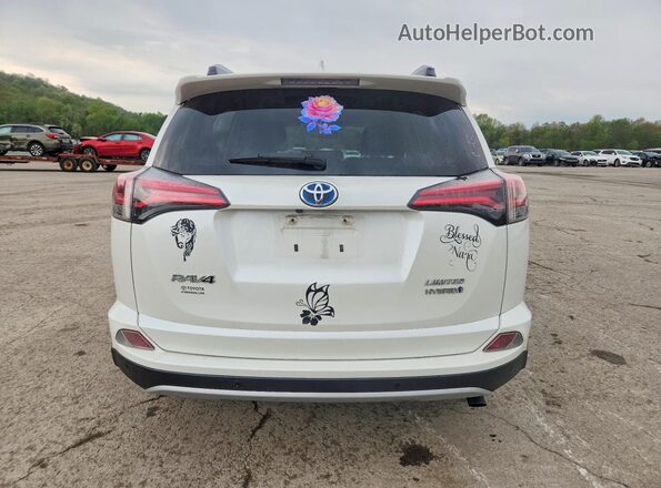 JTMDJREV4GD004479 2016 TOYOTA RAV4 White Rear view