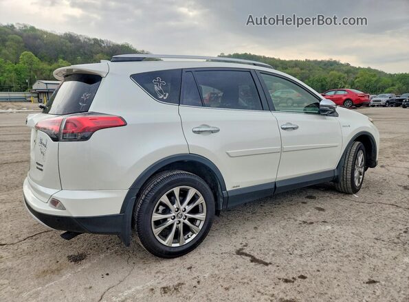 JTMDJREV4GD004479 2016 TOYOTA RAV4 White Rear right