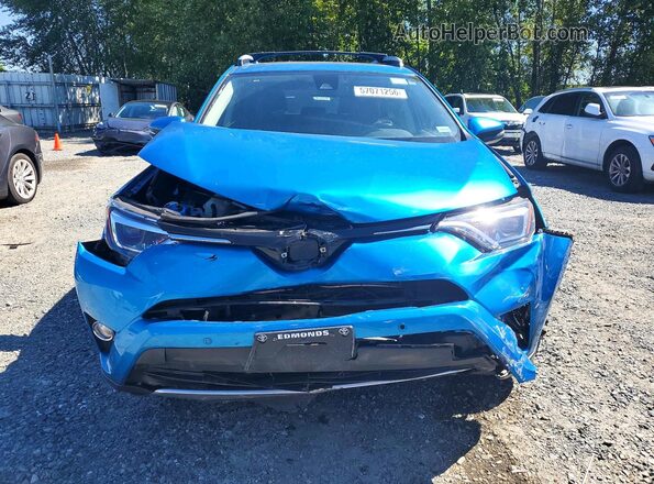 JTMDJREV6GD053568 2016 TOYOTA RAV4 Blue 