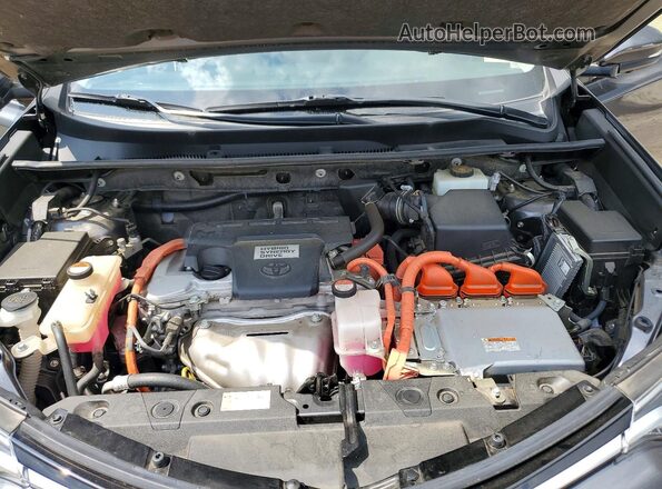JTMDJREV9GD041530 2016 TOYOTA RAV4 Gray Սալոնի հետևի տեսք