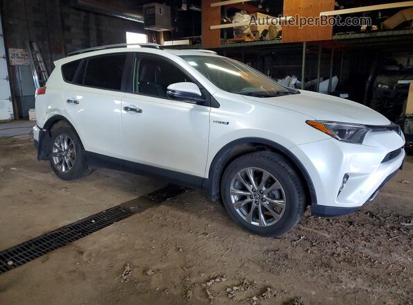 JTMDJREV9HD087568 2017 TOYOTA RAV White წინა მარჯვენა