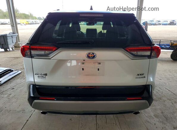 JTME6RFV1RD569294 2024 TOYOTA RAV4 White 