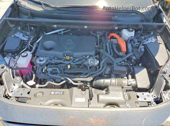 JTME6RFV3PD547827 2023 TOYOTA RAV4 Gray 