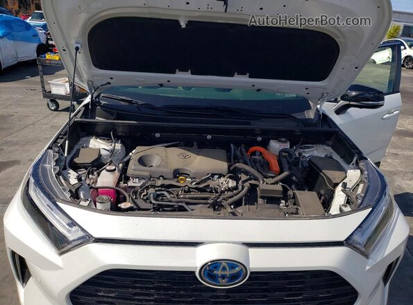 JTME6RFV7RJ056147 2024 TOYOTA RAV4 Two Tone Rear interior view