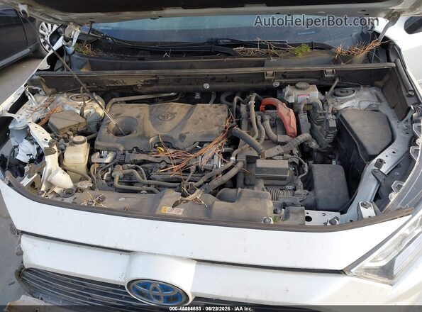 JTME6RFVXLJ001926 2020 TOYOTA RAV4 HYBRID White Вид ззаду
