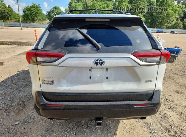 JTMEB3FV9RD181836 2024 TOYOTA RAV4 Белый Вид сзади