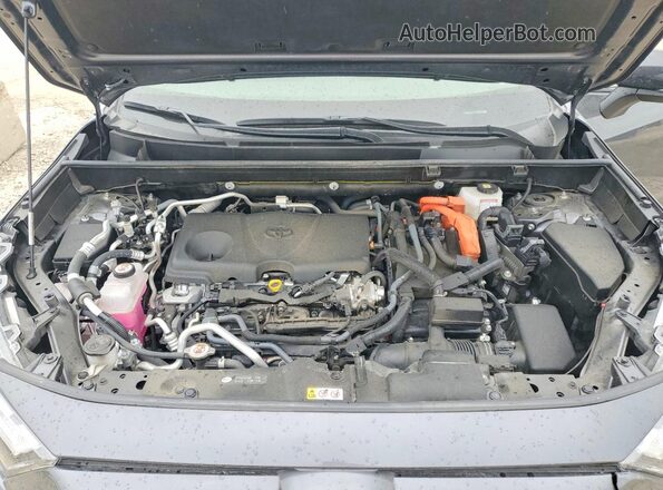 JTMEB3FVXPD124915 2023 TOYOTA RAV4 Black 