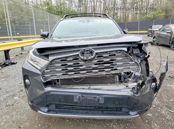 JTMEWRFV1KJ005247 2019 TOYOTA RAV4 Gray Vista frontal