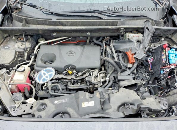 JTMEWRFV1KJ005247 2019 TOYOTA RAV4 Gray Vista del compartimento del motor