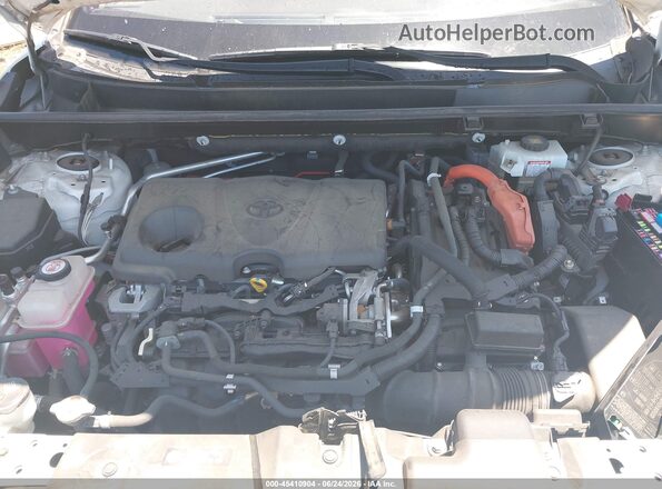 JTMEWRFV4KD509774 2019 TOYOTA RAV4 Белый Вид сзади
