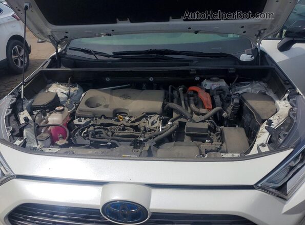 JTMEWRFV4LJ039426 2020 TOYOTA RAV4 White 