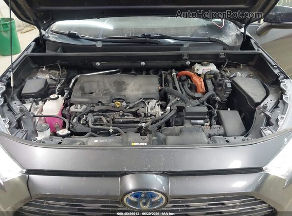 JTMEWRFV6KJ023579 2019 TOYOTA RAV4 HYBRID Gray Вид ззаду