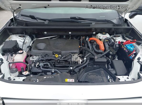 JTMEWRFVXKJ014089 2019 TOYOTA RAV4 HYBRID Белый Вид сзади