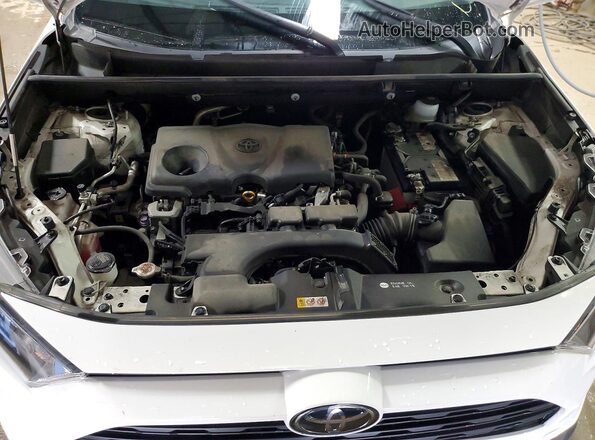JTMG1RFV1LD067707 2020 TOYOTA RAV4 White Rear interior view
