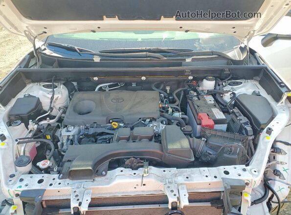 JTMG1RFVXPD093891 2023 TOYOTA RAV4 White Widok komory silnika
