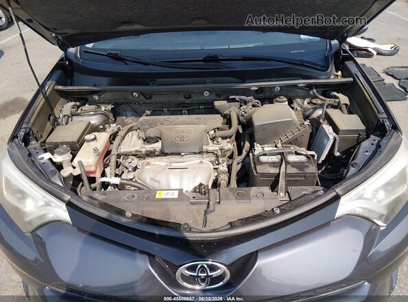 JTMJFREV7GJ102136 2016 TOYOTA RAV4 Gray Вид ззаду