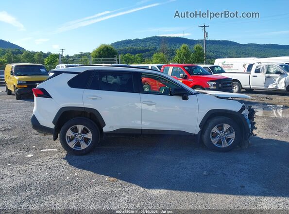 JTMLWRFV0SD283918 2025 TOYOTA RAV4 HYBRID Белый Вид задней части салона