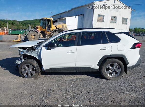 JTMLWRFV0SD283918 2025 TOYOTA RAV4 HYBRID Белый Панорамный вид салона 360°