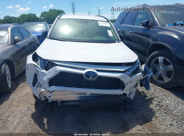 JTMLWRFV1RD271609 2024 TOYOTA RAV4 HYBRID White 