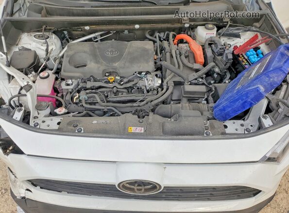 JTMLWRFV1SD593320 2025 TOYOTA RAV4 Белый Вид задней части салона
