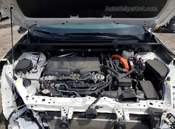 JTMLWRFV2SD606639 2025 TOYOTA RAV4 White 