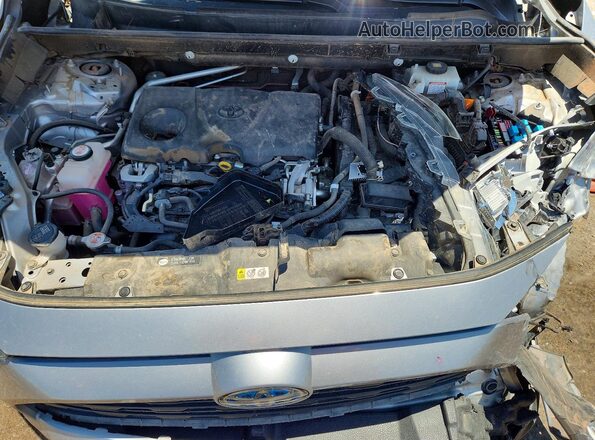 JTMLWRFV3KD012433 2019 TOYOTA RAV4 Silver 