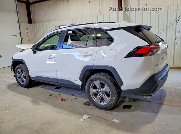 JTMLWRFV3SD310433 2025 TOYOTA RAV4 Белый Задняя левая четверть