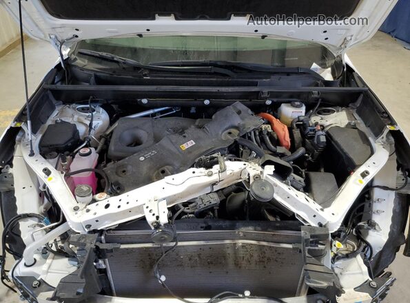 JTMLWRFV3SD310433 2025 TOYOTA RAV4 Белый 