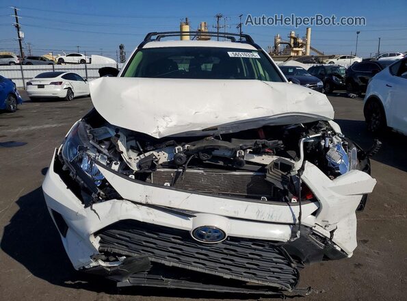 JTMLWRFV6LD058162 2020 TOYOTA RAV4 White წინა ხედი