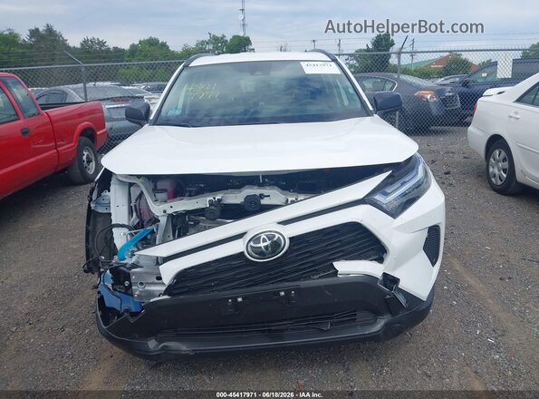 JTMLWRFVXSD310736 2025 TOYOTA RAV4 HYBRID White Սալոնի հետևի տեսք