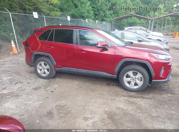 JTMMWRFV5KD524554 2019 TOYOTA RAV4 HYBRID Red უკანა სალონის ხედი