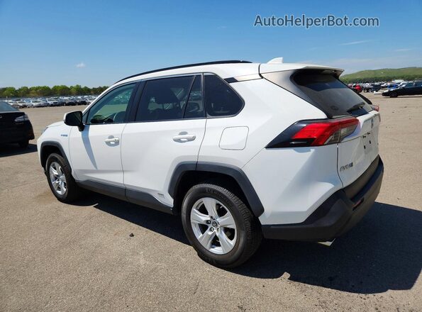 JTMMWRFV6KD016772 2019 TOYOTA RAV4 White Задня ліва чверть